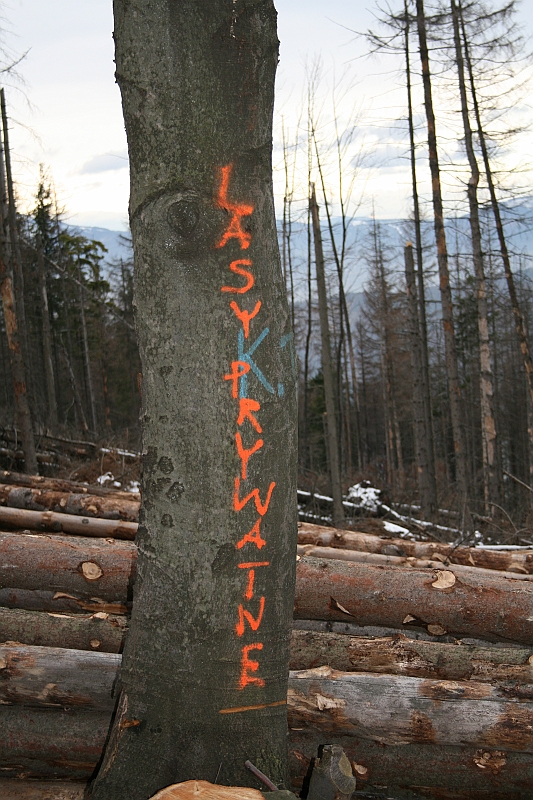 Gora Zar 043
